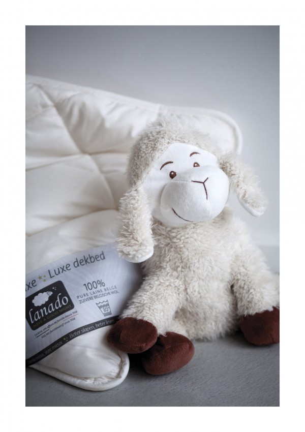 Oreiller en laine Lanado