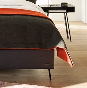 Lit Tenuto Magnitude